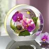 Dekoration BADER | Beleuchtete Orchidee Im Glas