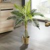 Dekoration BADER | Palme Im Topf