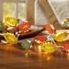 Dekoration BADER | Batteriebetriebene Lichterkette Herbst