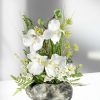 Dekoration BADER | Herrliches Orchideengesteck Fur Ihr Zuhause
